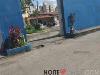 Casa noturna morena drinks