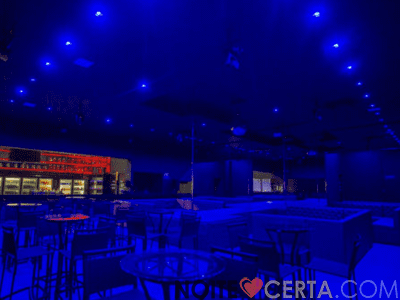 Cabaré Bar Show